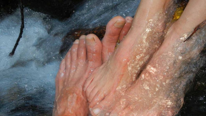  Eveline lak za gljivice na noktima, najbolja iskustva